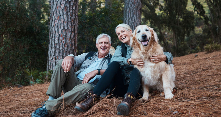 Dieting vs. Lifestyle Changes: Understanding The Difference