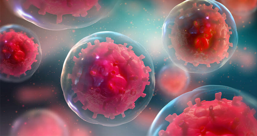 Why Do We Age? How Our Cells Influence the Aging Process