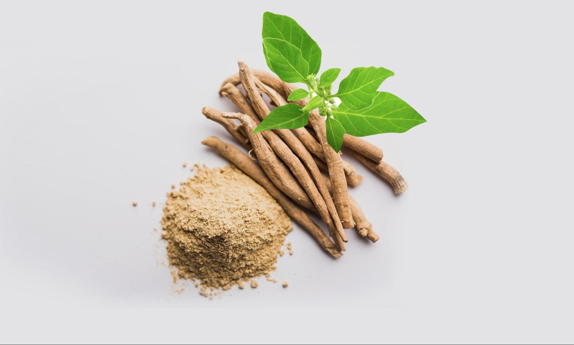 Daily Dosage Guide: How Much Ashwagandha/KSM-66 for Optimal Testosterone Levels?