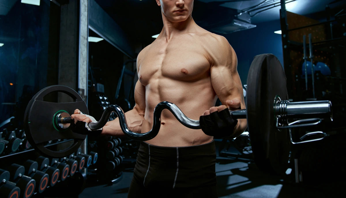 Ultimate Guide to Understanding Total and Free Testosterone for Performance