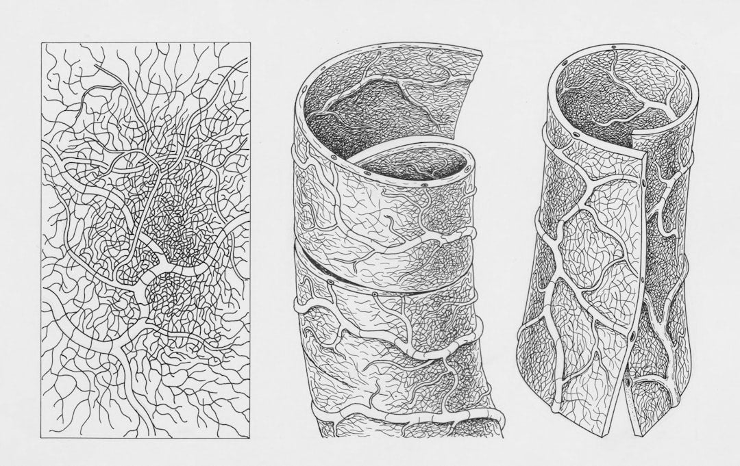 The Science-Backed Guide to Circulatory System Supplements