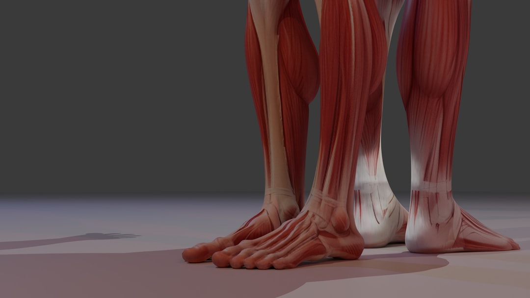 Lower Leg Circulation Problems Explained by Vascular Experts