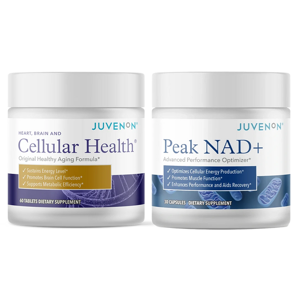 Energy Protocol